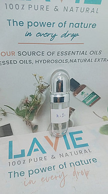 67ad4638-8df5-4a75-8494-7b7252500ded