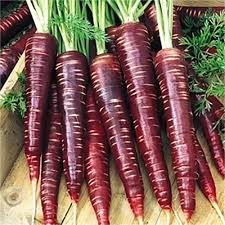 black carrot extract