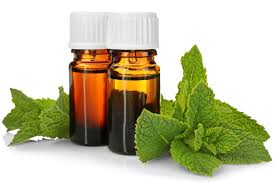 Menthol oil