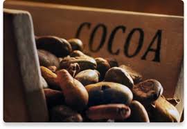 Cocoa Flavour