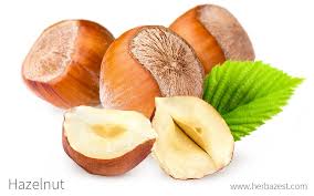 Hazelnut