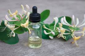 Honey suckle extract