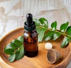 camphor oil