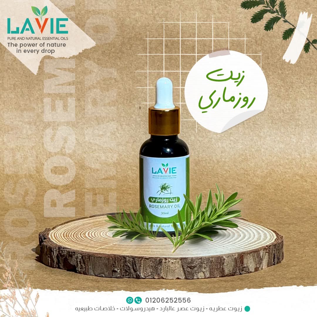 Rosemary oil-EGYPT