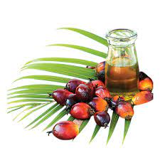 Hydrogenated Palm kernel oil