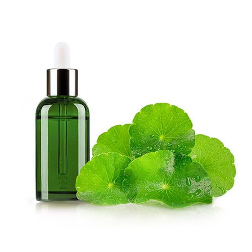Centella Asiatica Extract