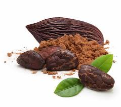 Cocoa Extract