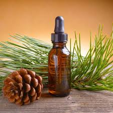 fir needle oil