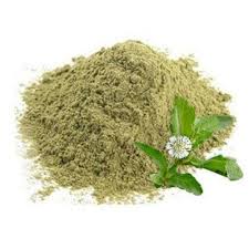Behrnag (eclipta alpa) Extract