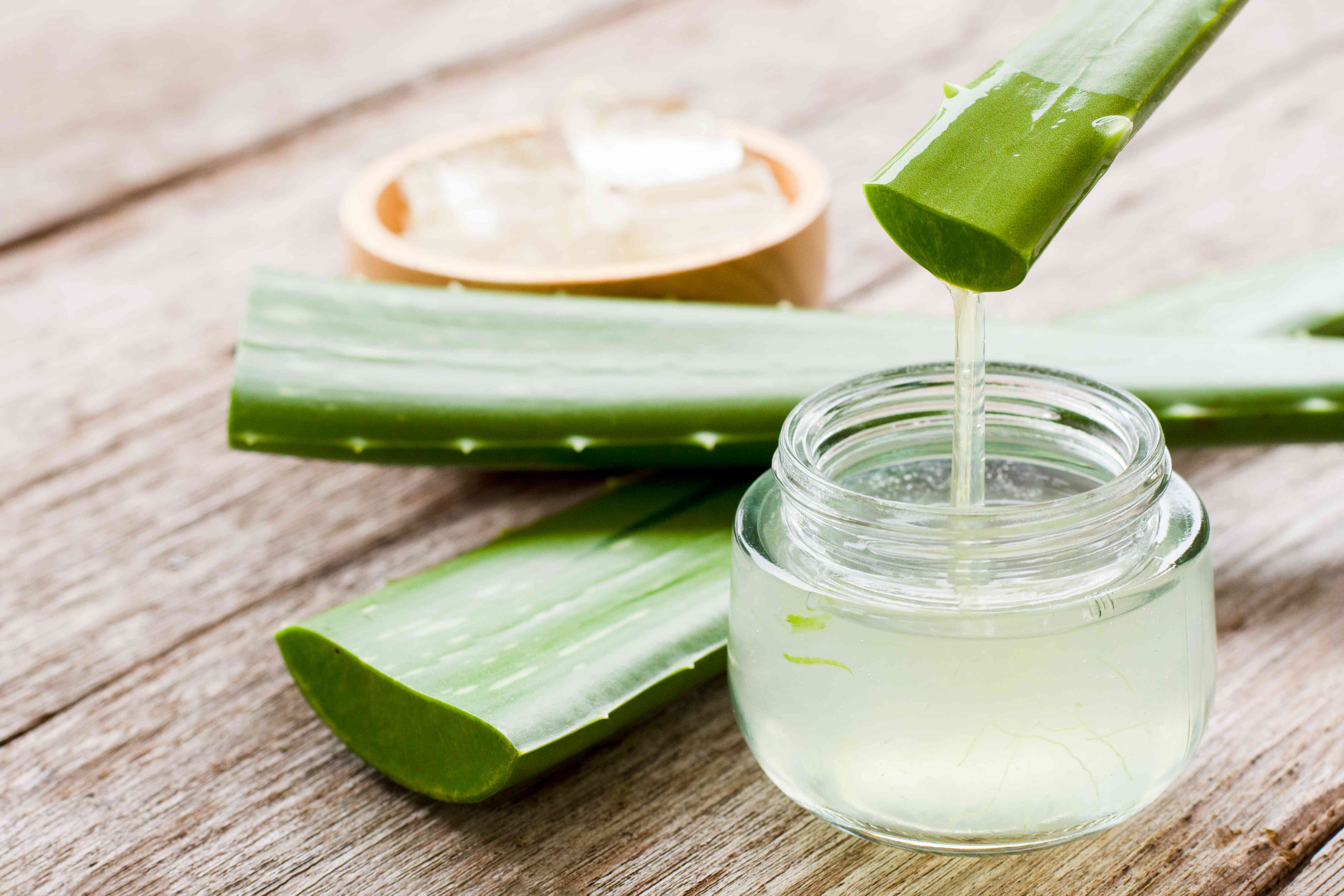 Aloe Vera EXT.